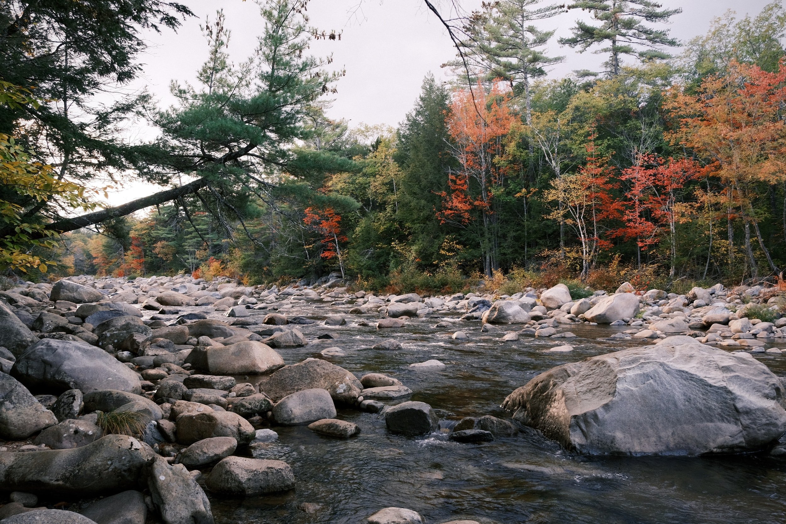 Rocky Stream