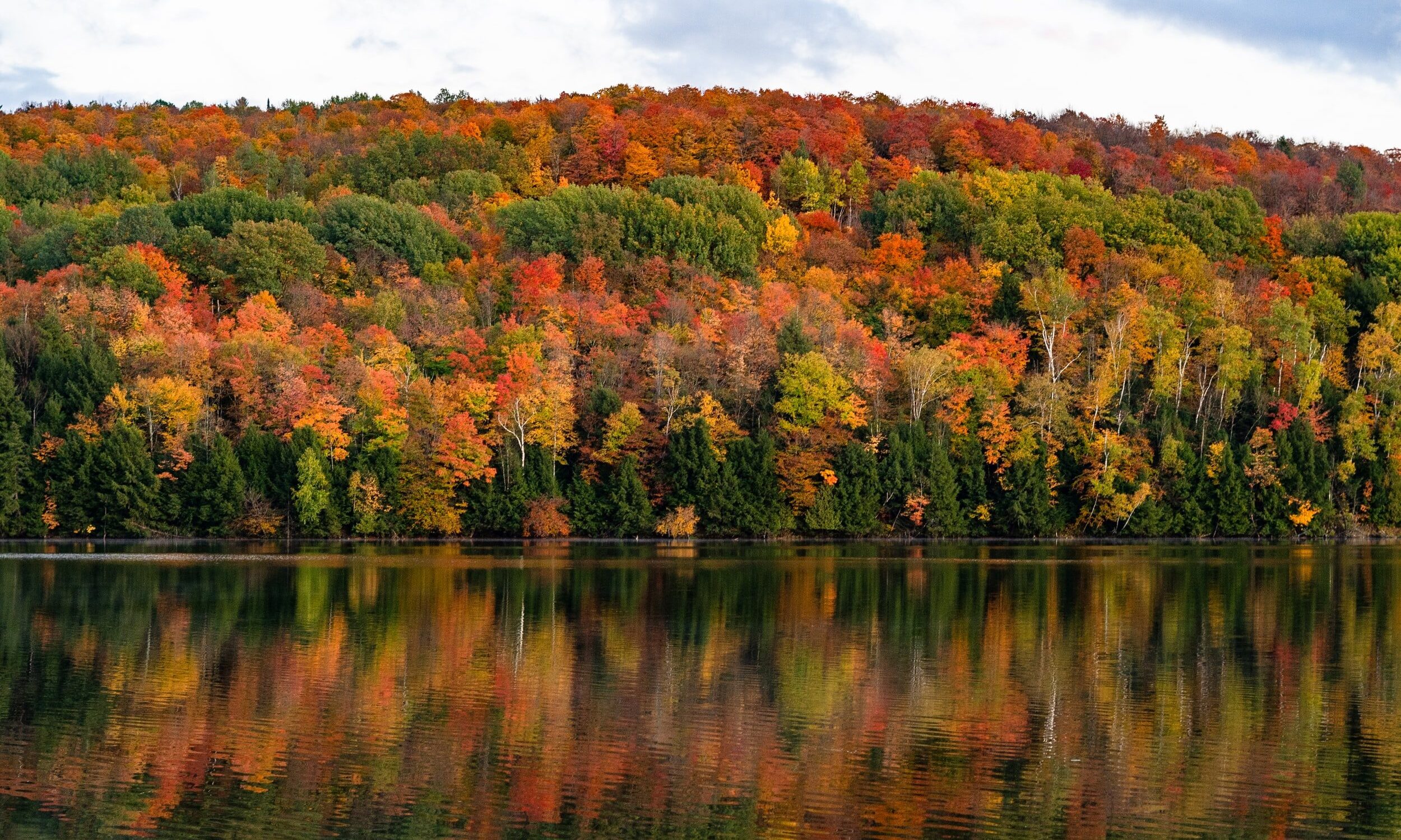 Fall Foliage